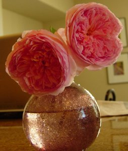 abrahams in vase.jpg