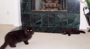 Jordan_KobeFireplace.jpg