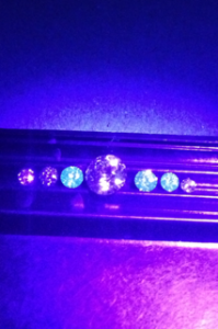 fluor.png