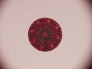 _15374.jpg