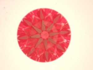_15375.jpg