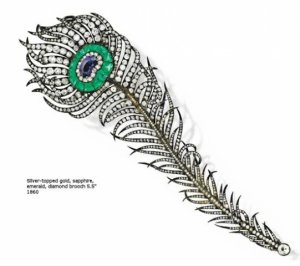 peacock_feather.jpg