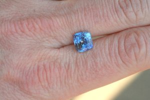 jw_sapphire_-_native.jpg jw_sapphire_-_native.jpg