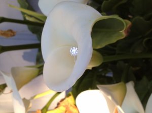 img_4059.jpg