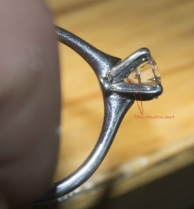 dsc_115.jpg