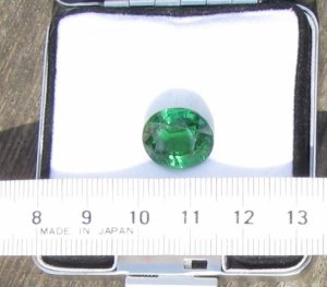 green1a.jpg green1a.jpg