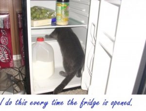 munchies-shame.jpg