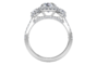 ritani_side.png