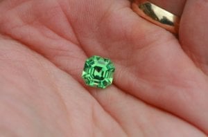 jw_-_handshot_of_fine_mint_garnet.jpg