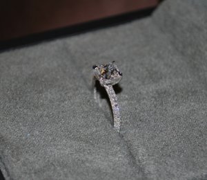 dsc_129.jpg dsc_129.jpg