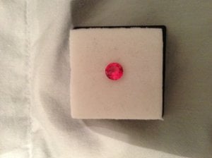 _17290.jpg