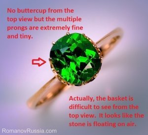 _17322.jpg
