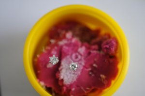 dsc_4563.jpg