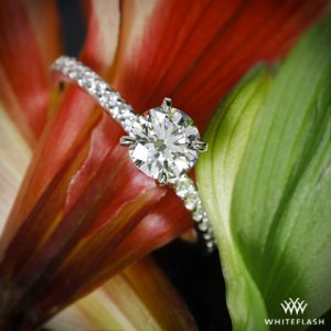 custom-petite-inspired-diamond-engagement-ring-in-18k-white-gold-by-whiteflash_36542_g2.jpg