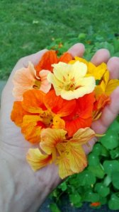 wp_20130806_005.jpg