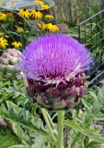 wp_20130814_001.jpg
