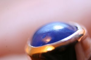 img_4558.jpg