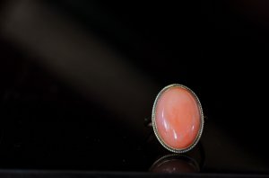 dsc_4658_2.jpg dsc_4658_2.jpg