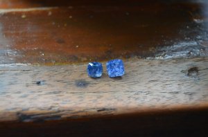 dsc_5713.jpg