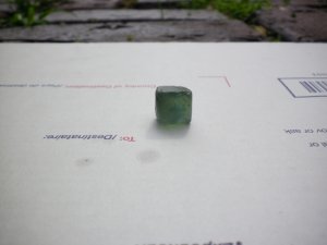 _18041.jpg