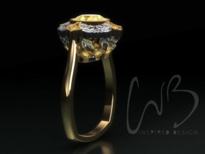 2014_vanessa_reverie_dore_ring_side_view_3-4.jpg