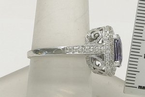 ring_side_pic.jpg ring_side_pic.jpg