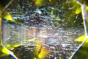 dscf60381__2_.jpg