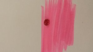 20140528_151254.jpg