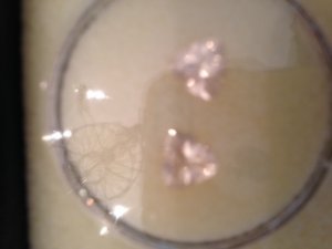 rose_quartz.jpg