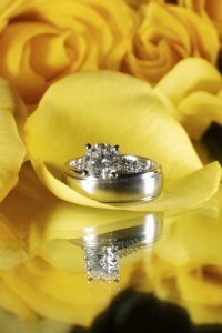 rings002.jpg