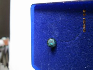 img_0697.jpg