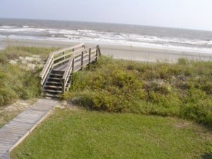 walkway2.jpg