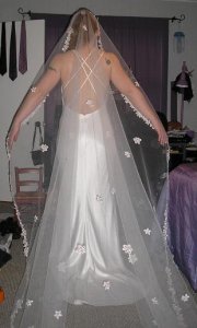 dress2 back with veil for ps.JPG