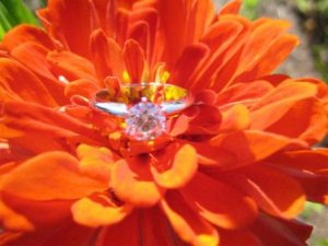 Ring Flower 3 Revised.jpg