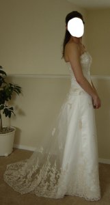 my wedding gown MS-ps4.jpg