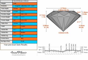 4965_kkramer_prerecut_sarin.jpg