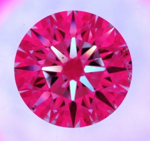_19061.jpg
