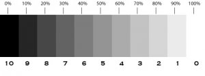 grayscale__1_.jpg