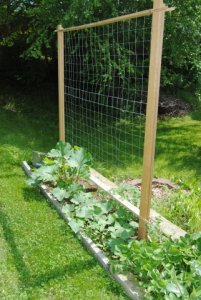 cukes__zukes__etc.jpg