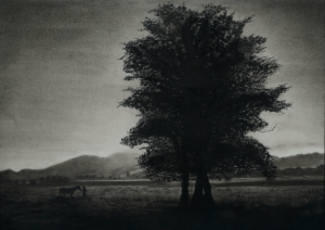 111charcoal.png