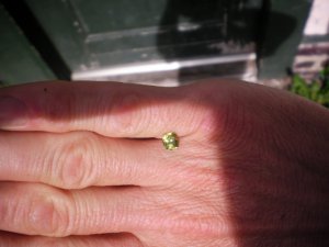 sany0005_1.jpg