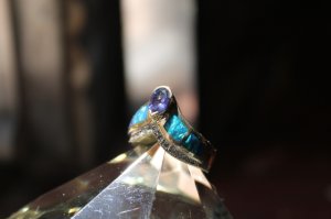 img_4912.jpg