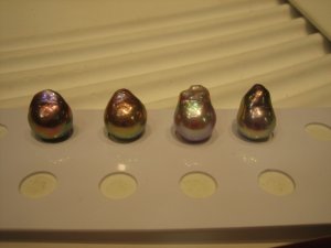 img_4950.jpg