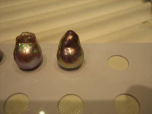 img_4951.jpg