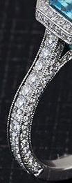 _19790.jpg