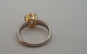 _20102.jpg