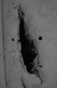 screenshot_2014-07-11_20.png