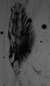 screenshot_2014-07-11_0.png