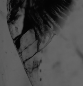screenshot_2014-07-11_1.png