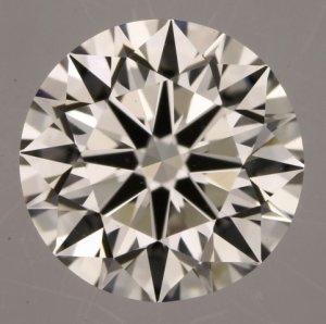 4634012.jpg